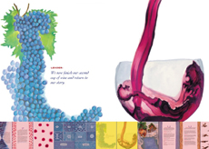 New Passover Haggadah