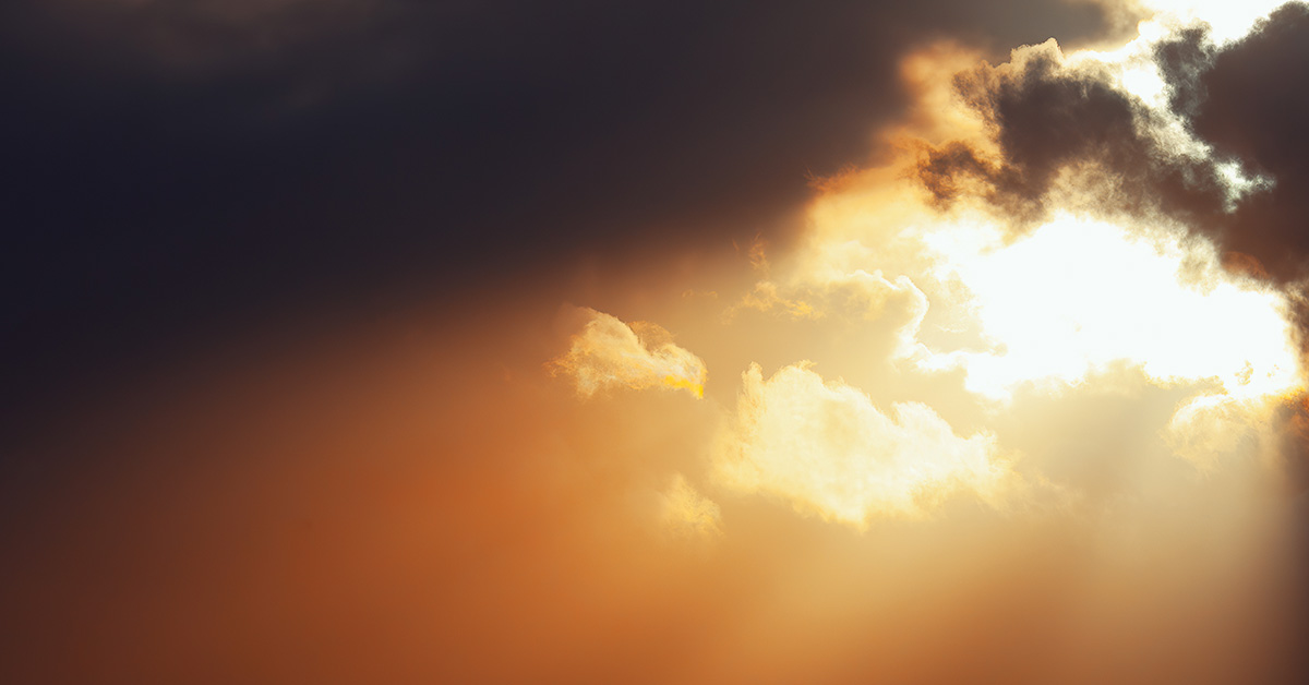 Sunlight Soul Searching