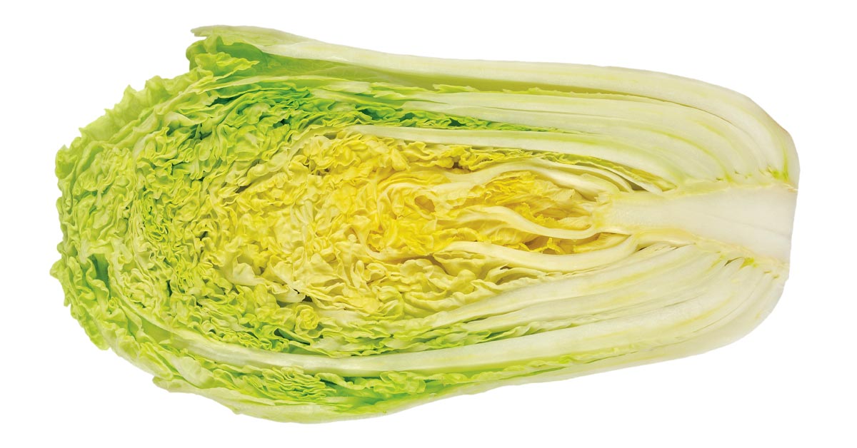 Cabbage