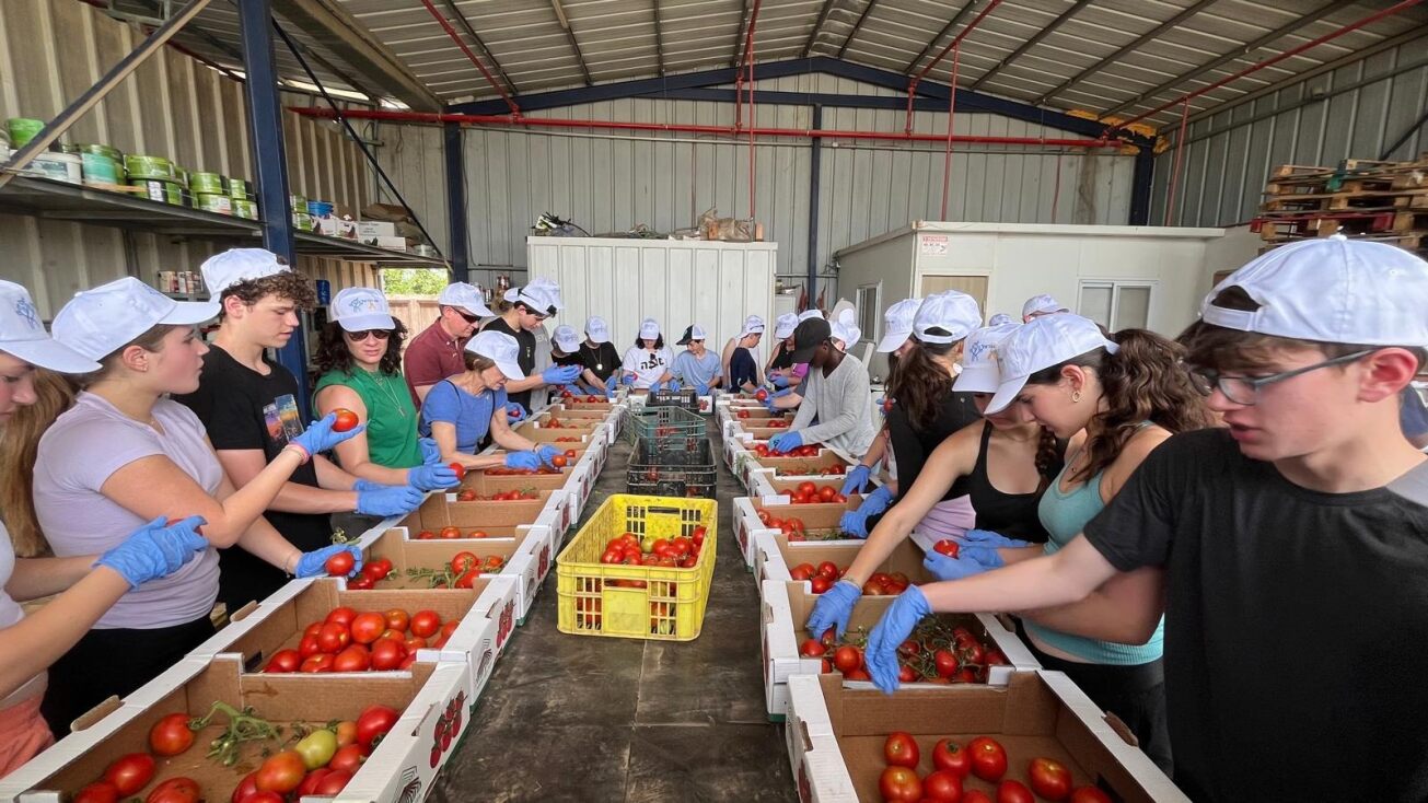 CJDS in Israel