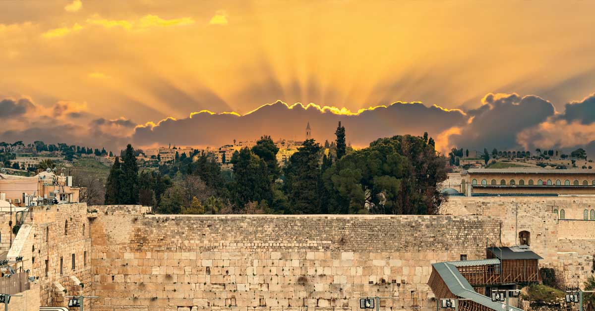 Brian Immerman Soul Searching September 2024