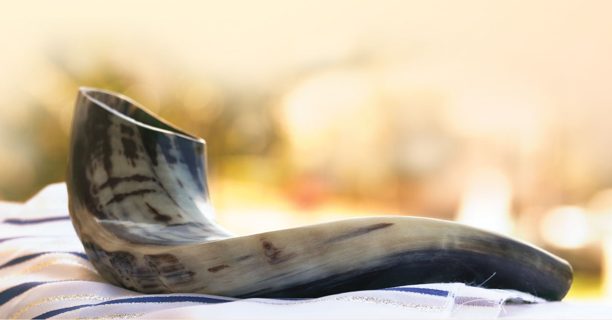 HH Resilience Social Workers