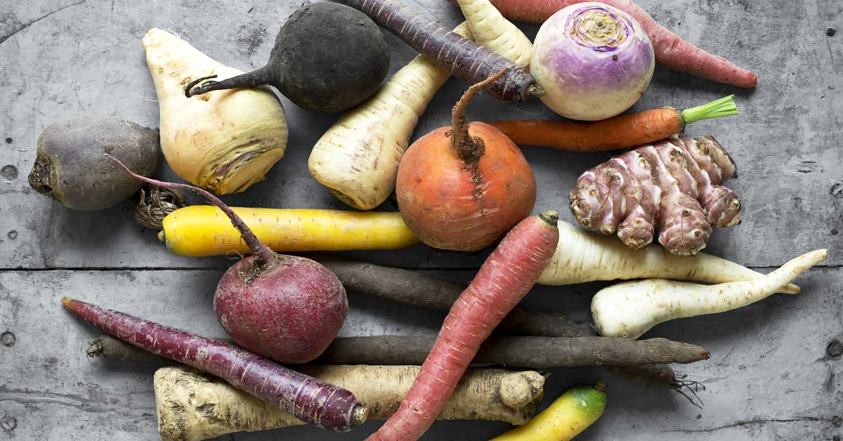 NOV_LauraFrankelRootWEB