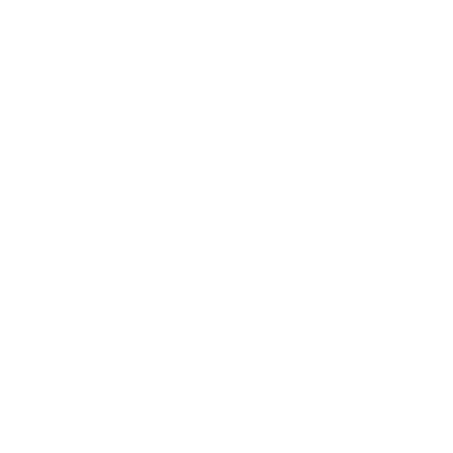 Other Opportunities Icon