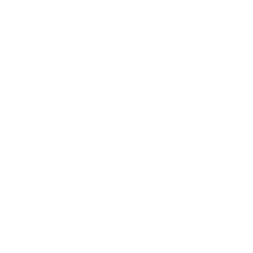 Special Events Photographer Icon