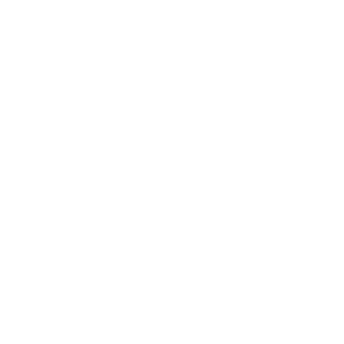 Special Events Volunteer Icon