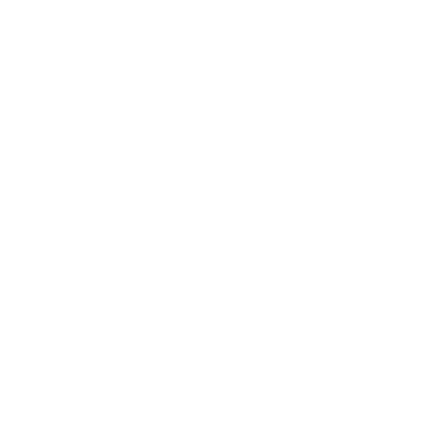 Workshop Presenter Icon