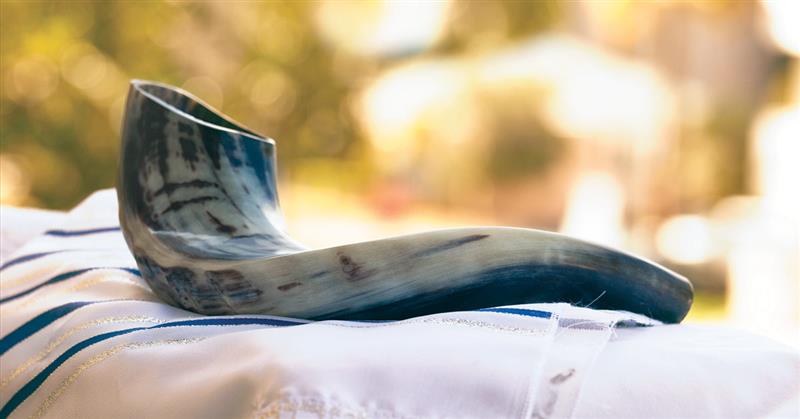 Soul Searching Shofar