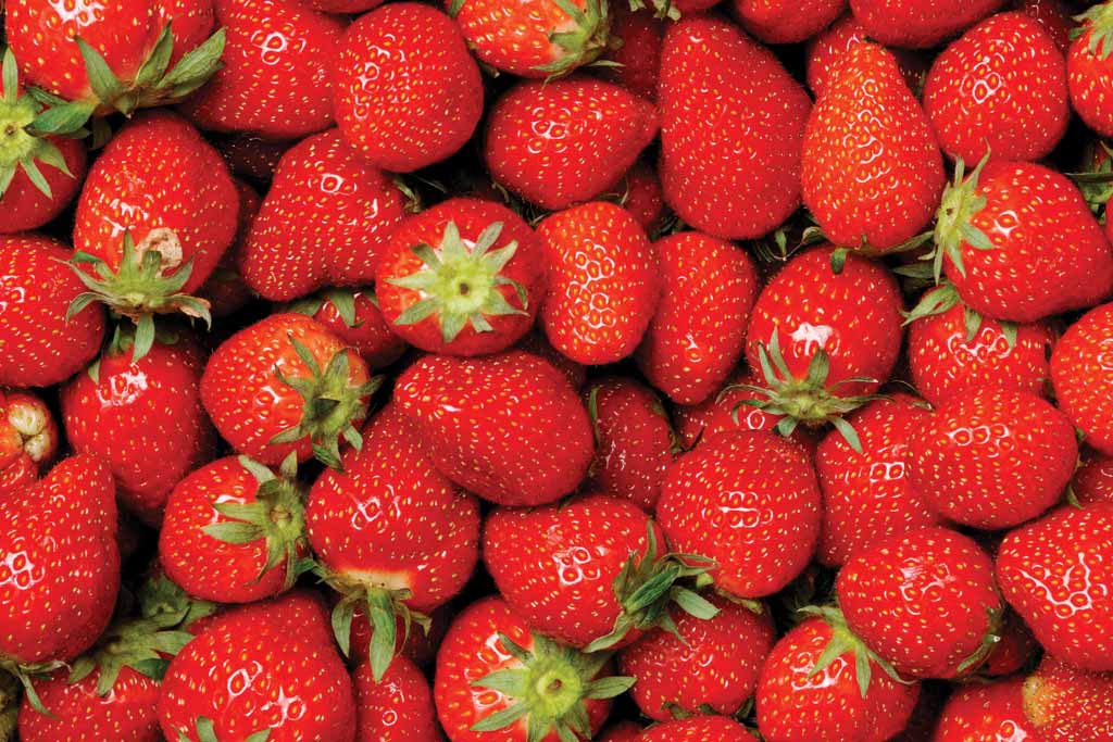 A bunch of strawberries.