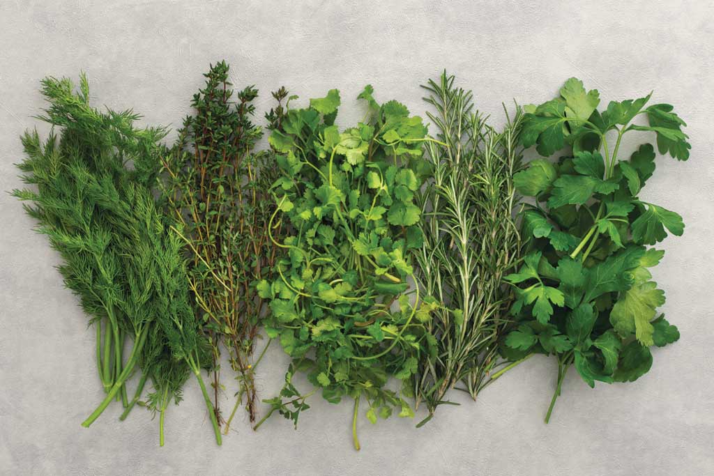 A bunch of herbs including parsley and thyme